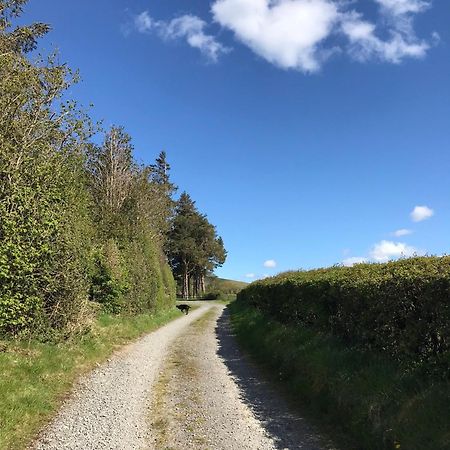 Chic Cottage Near Elan Valley And Builth Wells Llanwrthwl 外观 照片
