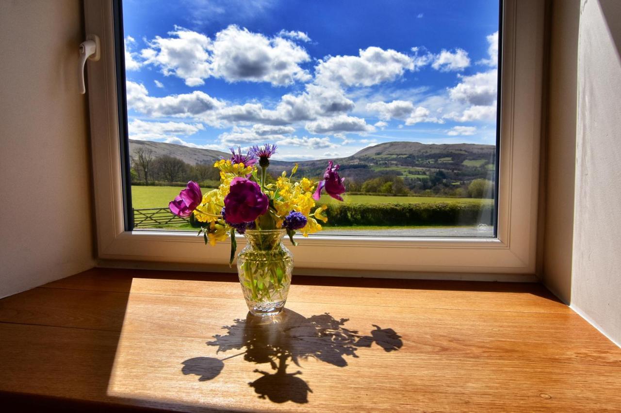 Chic Cottage Near Elan Valley And Builth Wells Llanwrthwl 外观 照片