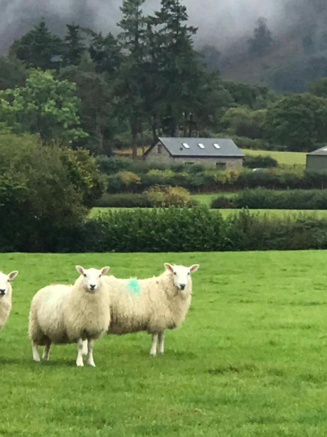 Chic Cottage Near Elan Valley And Builth Wells Llanwrthwl 外观 照片