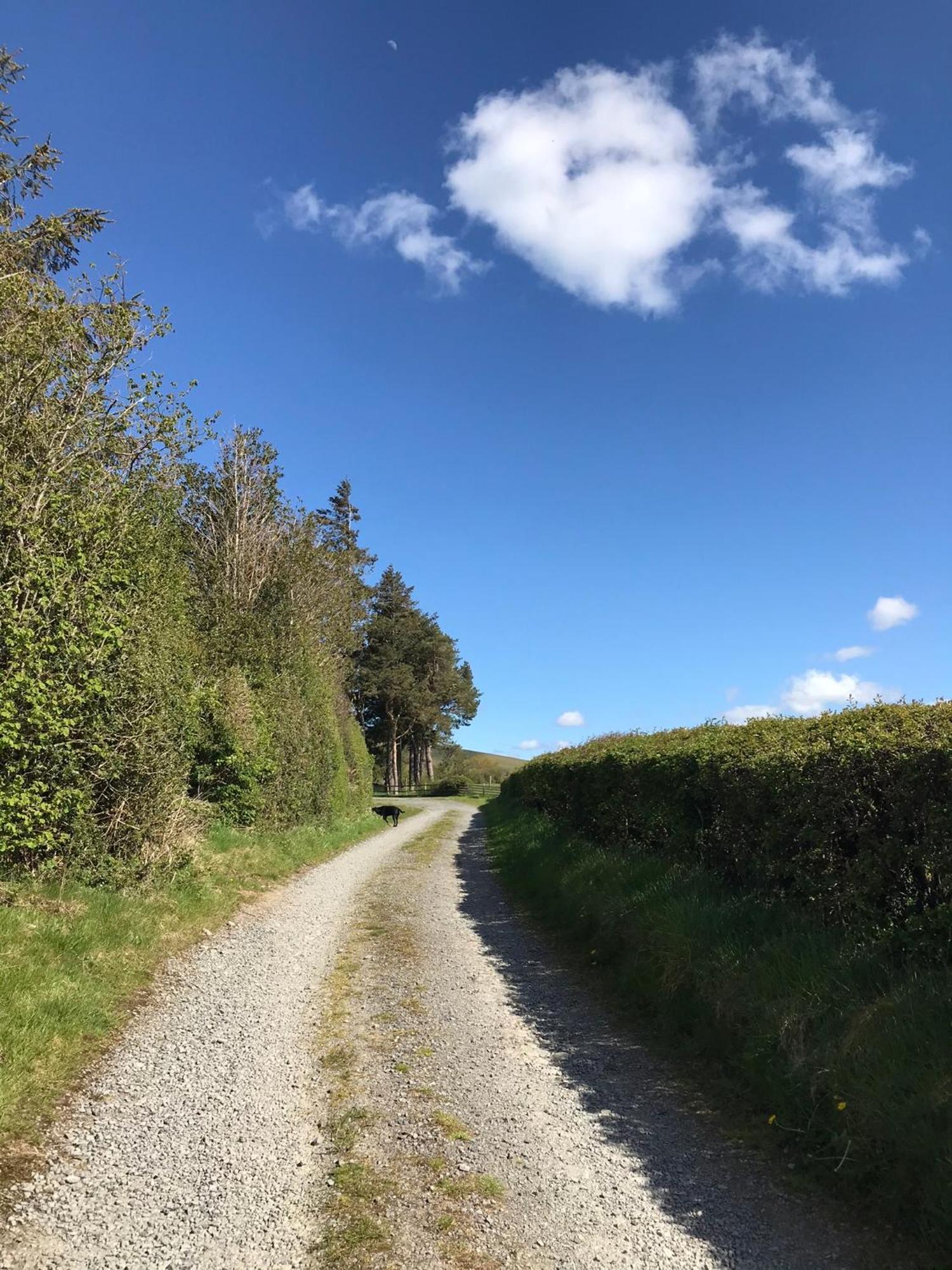Chic Cottage Near Elan Valley And Builth Wells Llanwrthwl 外观 照片